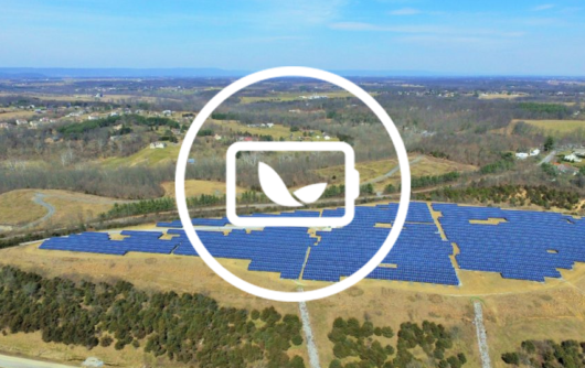 landfillpic1 landfillpic1